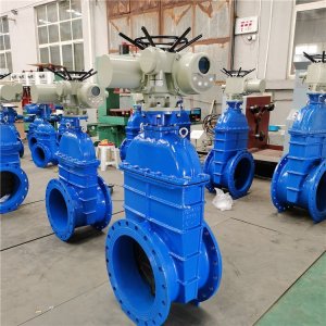 電動(dòng)閘閥Z941h -64 DN500（石化行業(yè)、煉油廠