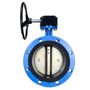 法蘭式蝸輪蝸桿蝶閥DN40，1.6Mpa（橡膠密封